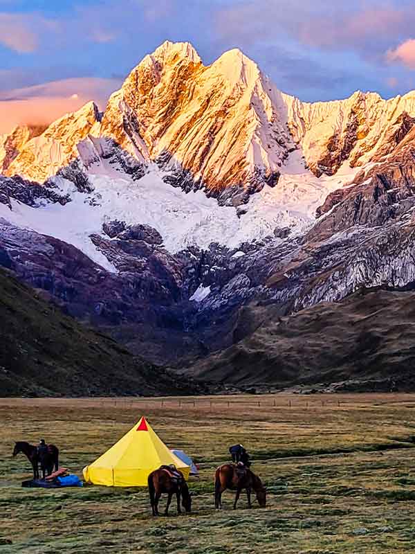 Bienestar animal en expediciones Paramount Explorer