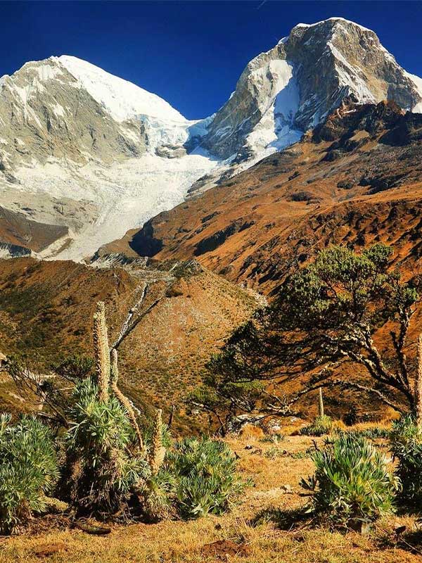 VISTA DE LA MONTAÑA HUASCARAN