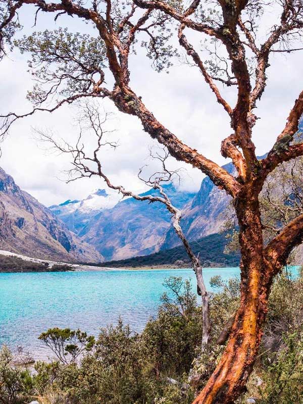 LAGUNA DE LLANGANUCO CAMINO SENDERO MARIA JOSEFA