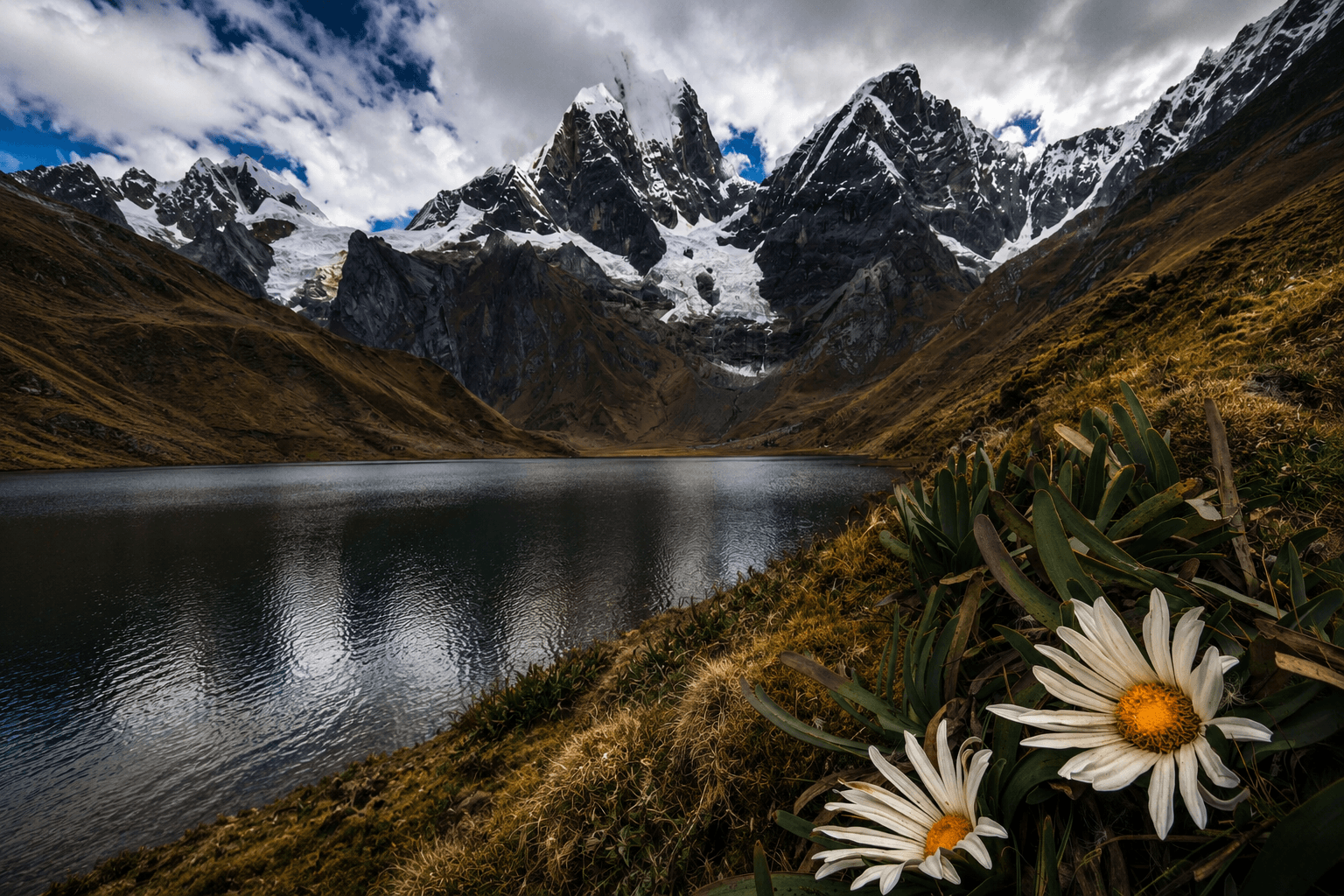 Mitucocha (4,270 m) → Paso Alcay (4,780 m) → Carhuacocha (4,140 m)